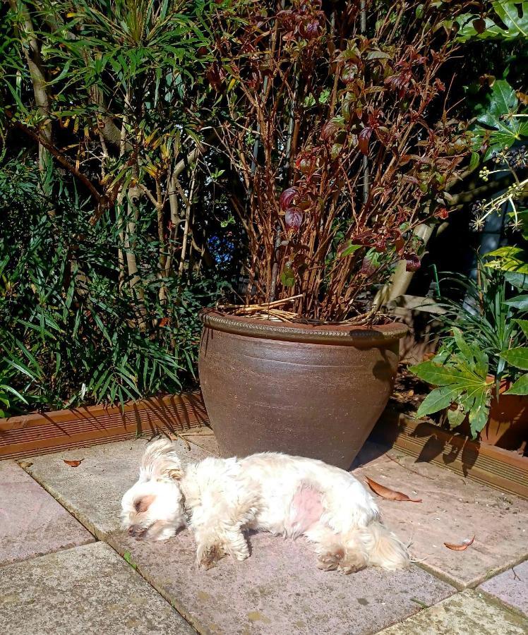 Bed & Breakfast Belle Dene Paignton